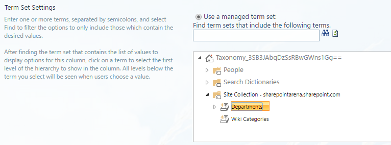 document_management_with_sharepoint_term__set_settings.png